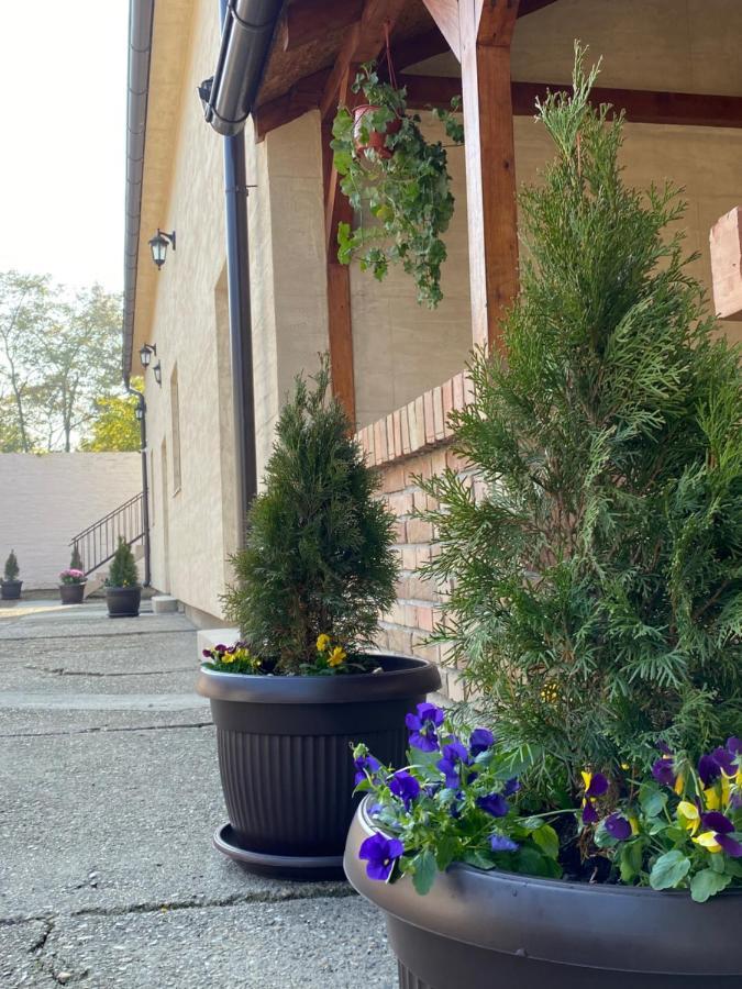 Omis Rooms Pančevo Exterior foto